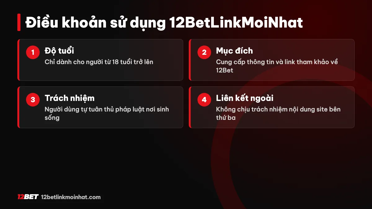 Điều khoản sử dụng 12BetLinkMoiNhat - quy định quyền nghĩa vụ người dùng