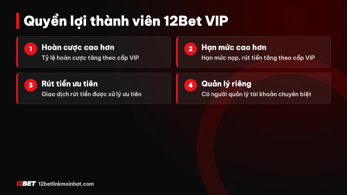 Quyền lợi VIP 12Bet - hoàn cược cao, hạn mức lớn, quản lý chuyên biệt